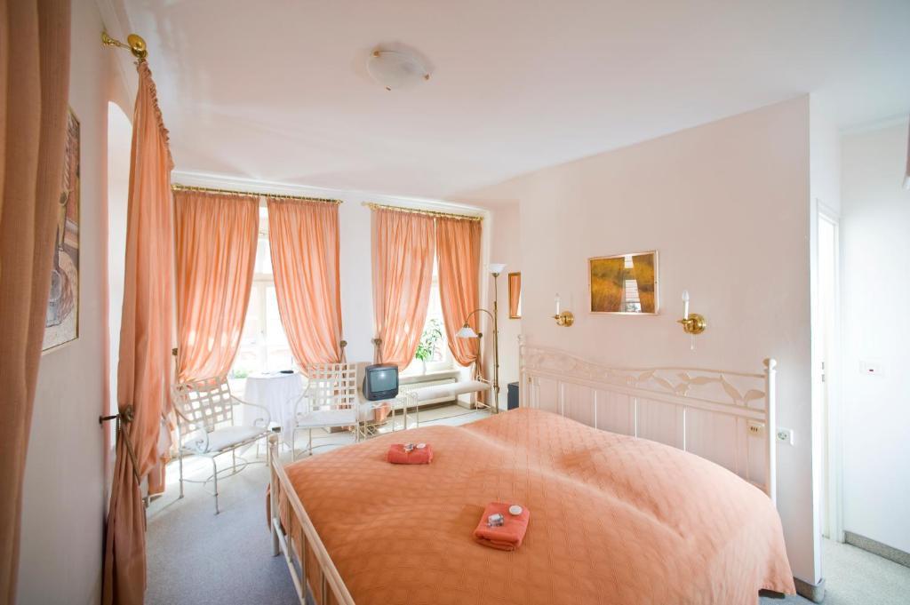 Hotel Goldener Hecht Heidelberg Pokój zdjęcie